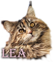 Lea